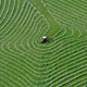 Illustration for article titled The Odd and Mesmerizing Aerial Photos of Klaus Leidorf